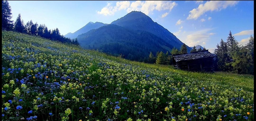 Haus Wibmer Matrei in Osttirol Buitenkant foto