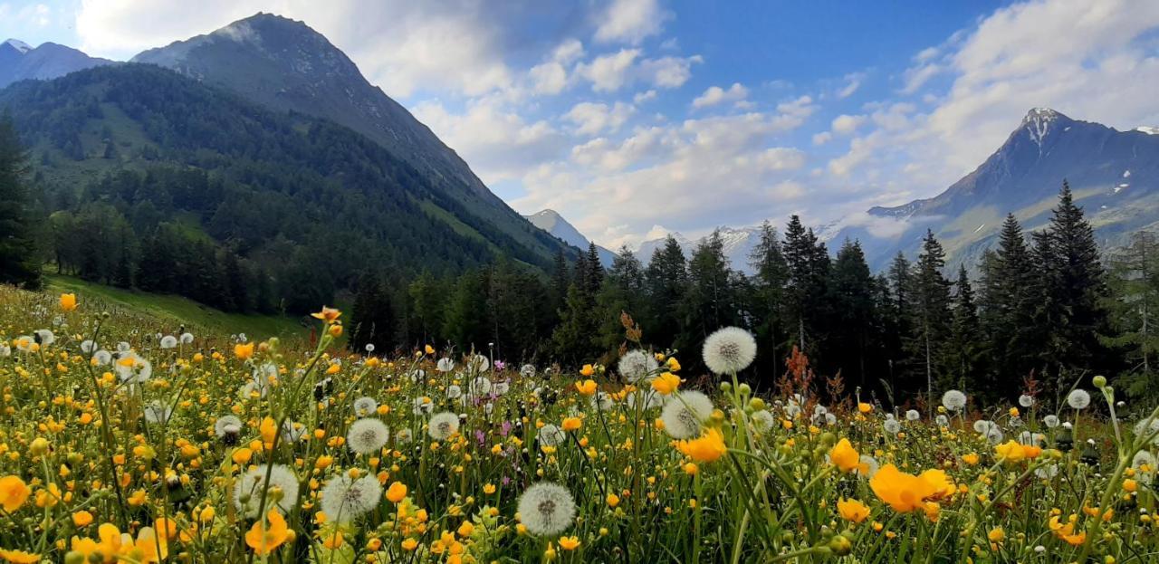 Haus Wibmer Matrei in Osttirol Buitenkant foto