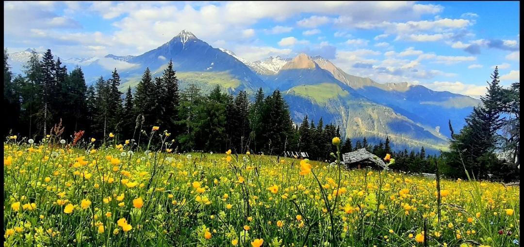 Haus Wibmer Matrei in Osttirol Buitenkant foto
